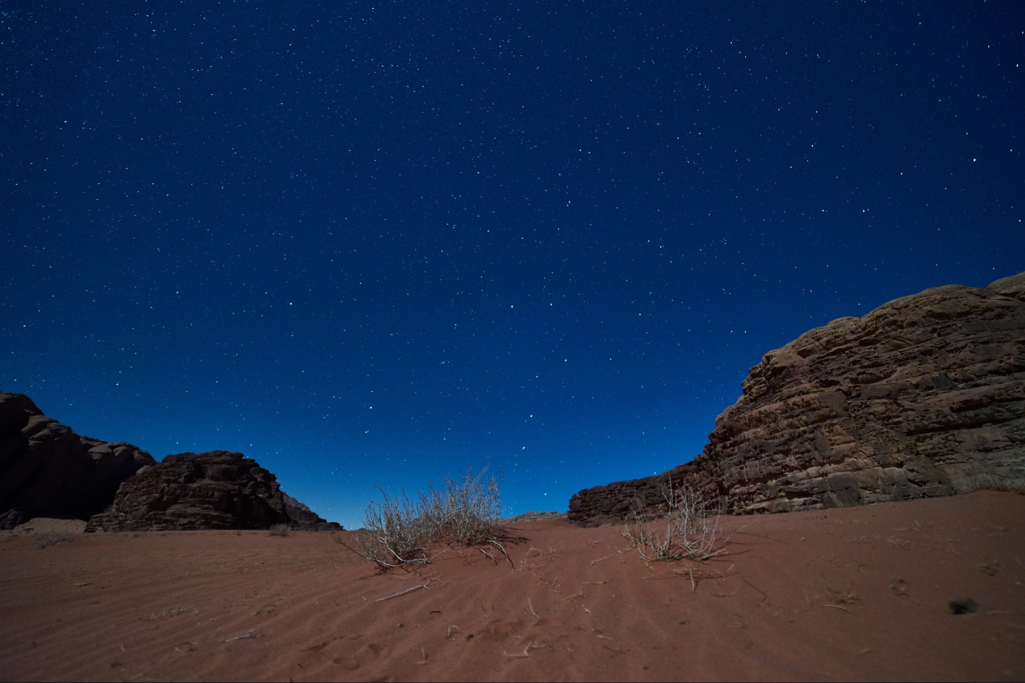 How a Night in the Jordanian Desert Taught Me a Business Lesson I’ll Never Forget