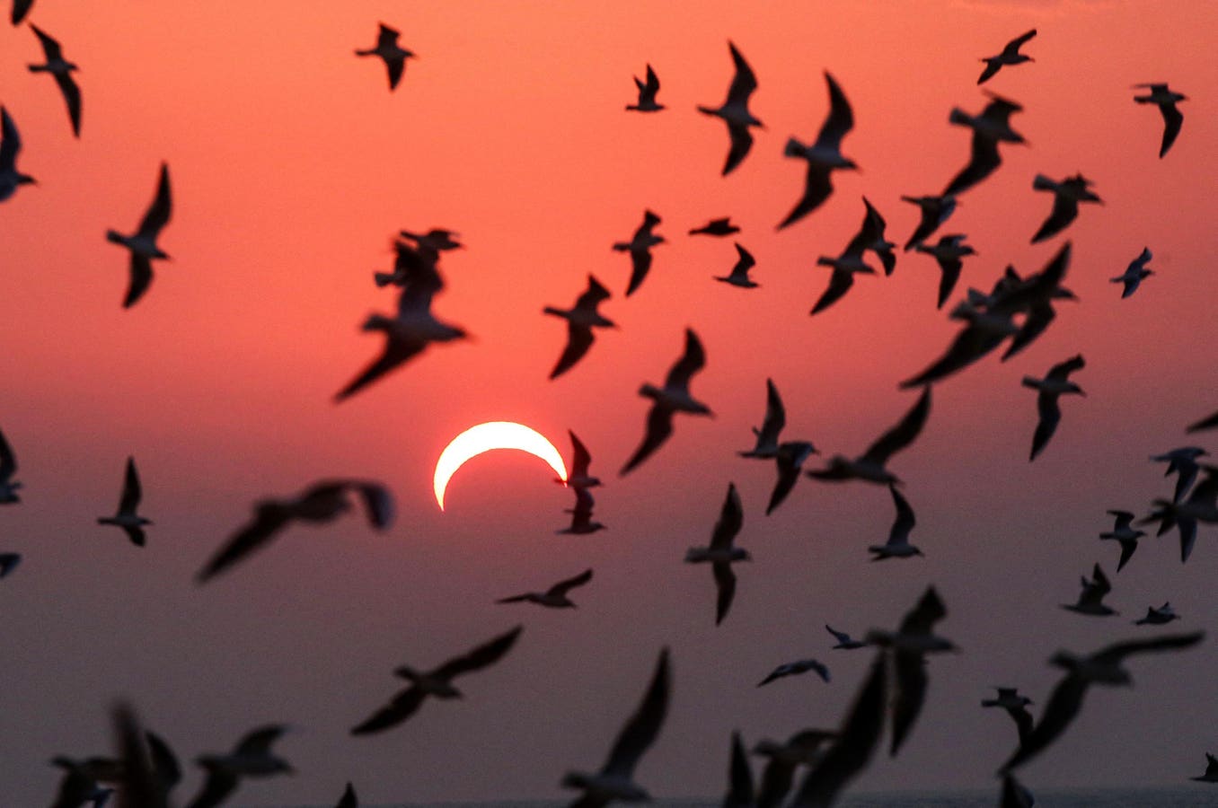 7 Things To Know About Next Weekend’s Rare Solar Eclipse
