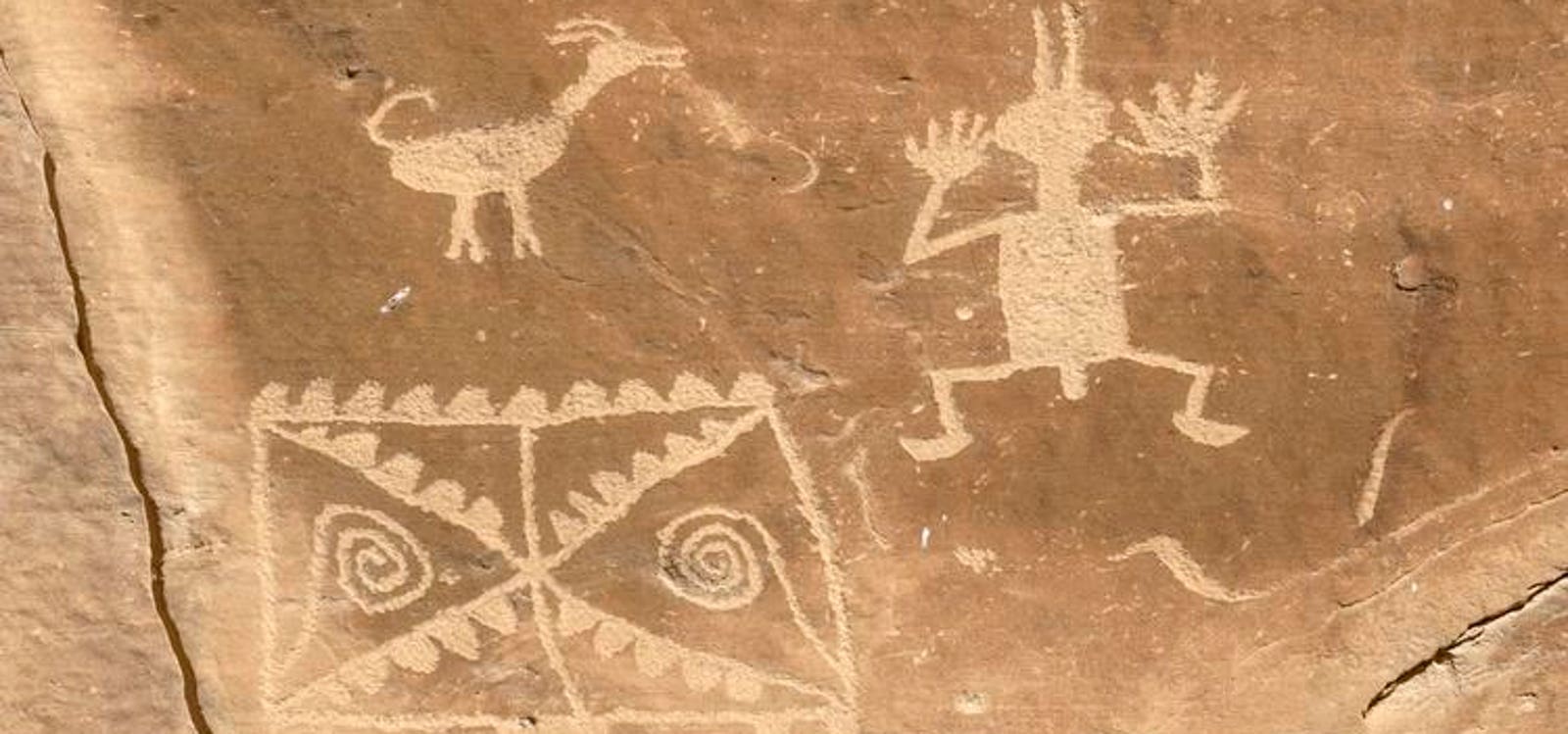 Meet The ‘Largest Canid Ever’ That Ruled Prehistoric America Until Cats Took Over—A Biologist Explains