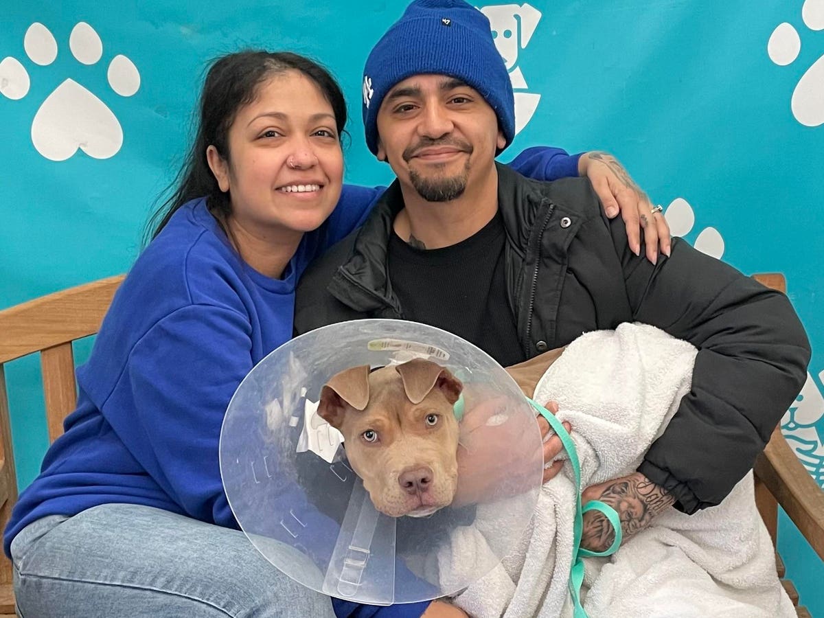 Shelter Reunites Families With Pets Displaced By L.A. Wildfires