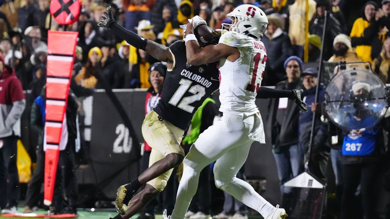 NFL draft: Inside Elic Ayomanor’s viral night, journey from Canada