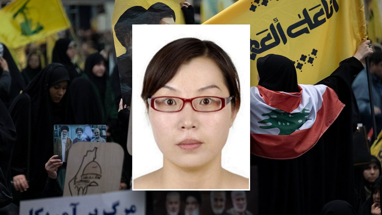 Chinese national accused of smuggling US drone weapons to Iran
