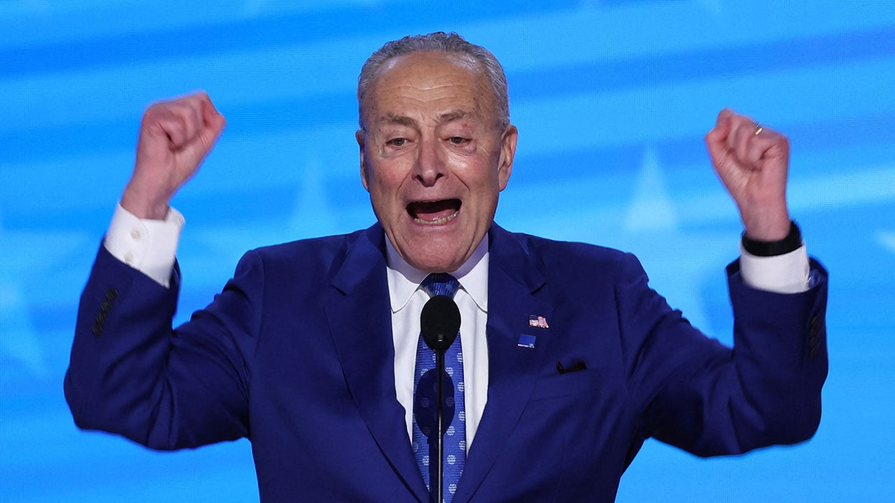 WATCH: Dems struggle to name the leader of the Democratic Party