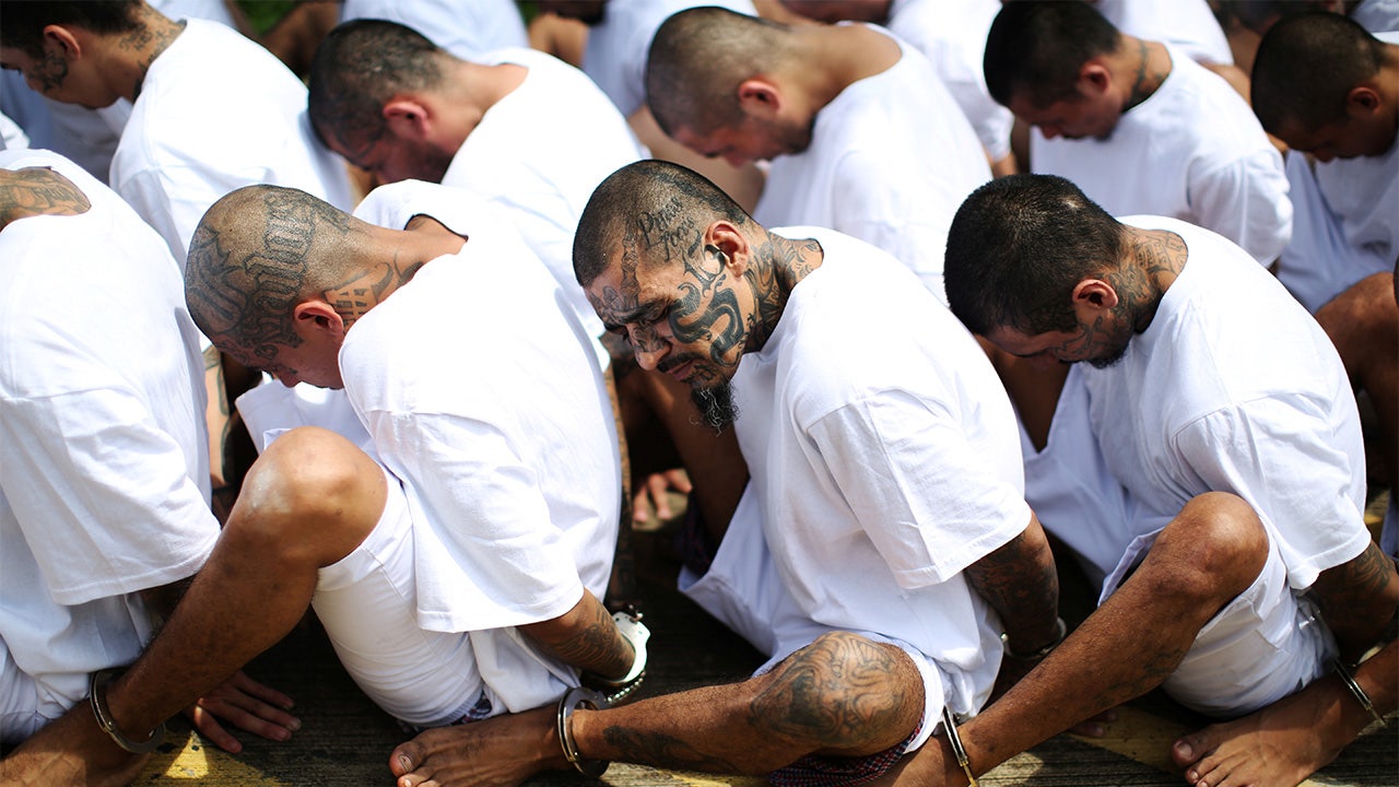 Sanctuary policies fuel Latin American gangs in America: former DEA agent