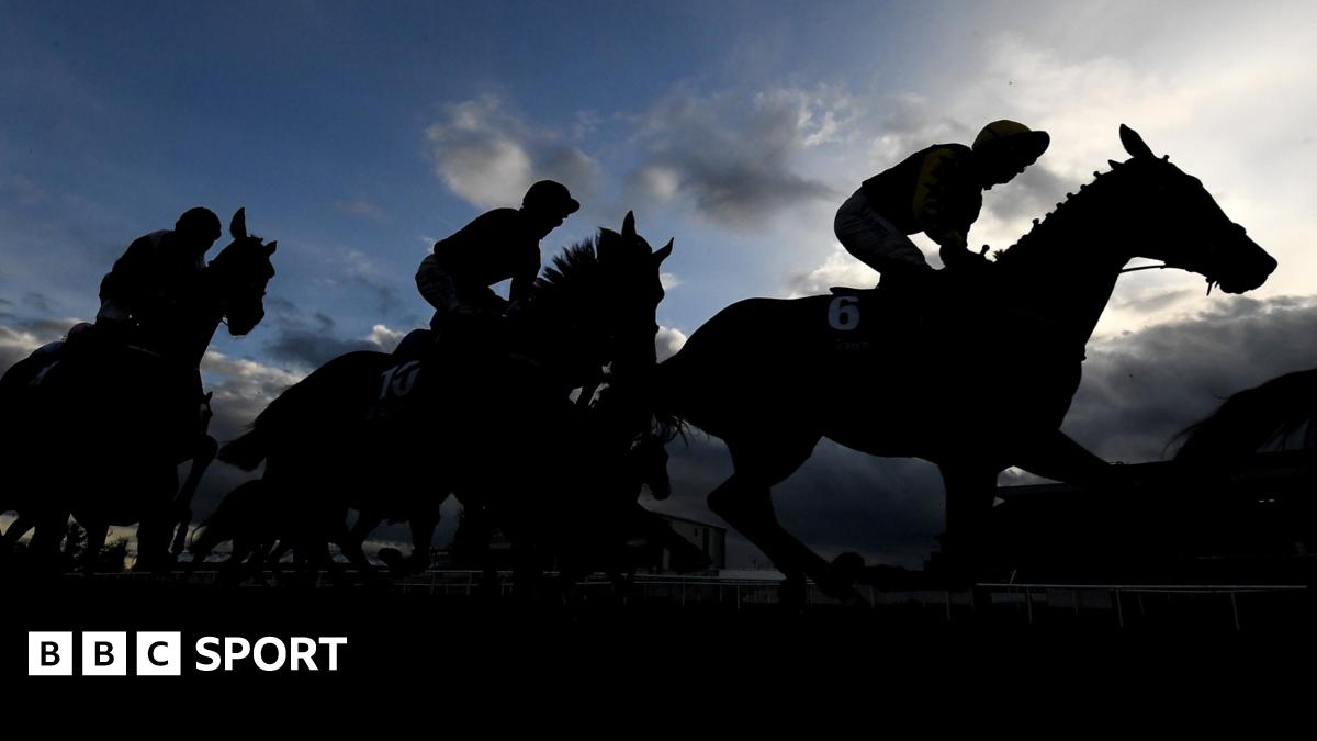 Gene doping: Racehorses to be tested by British Horseracing Authority