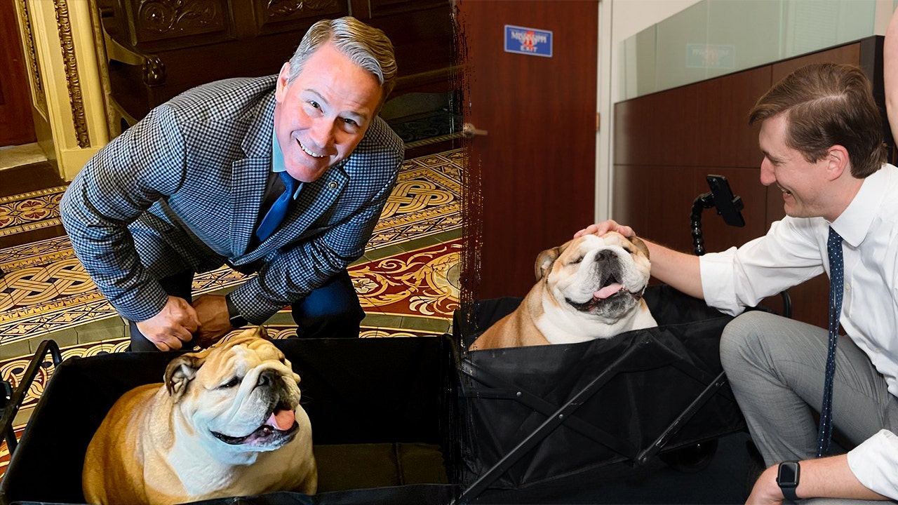 Babydog Justice bridges ‘pawtisan’ divide in the Senate on social media