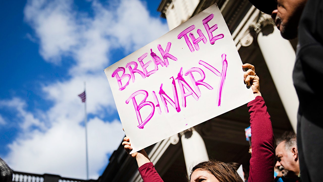 Democrats hold ‘informal conversations’ on how to address trans issues