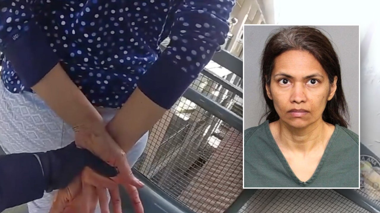 Video shows bloody mom accused of killing son after Disney trip: police
