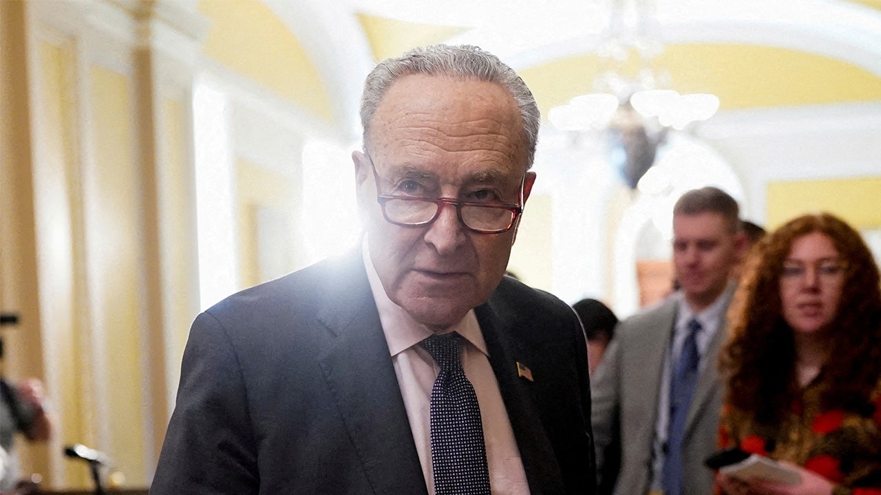 Democratic strategist’s urgent warning for fellow Dems says to focus on economy