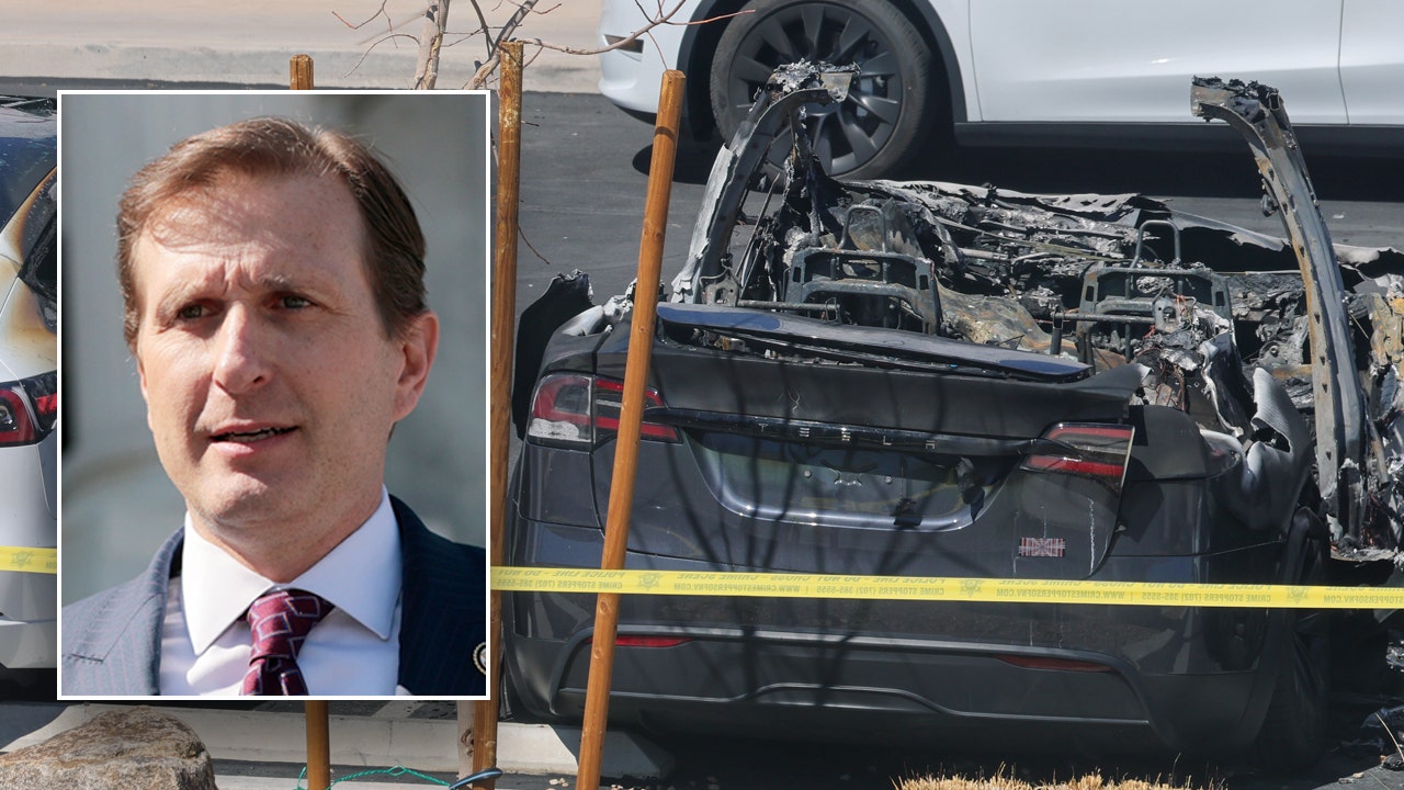 Goldman decries FBI task force on Tesla attacks as ‘political weaponization’