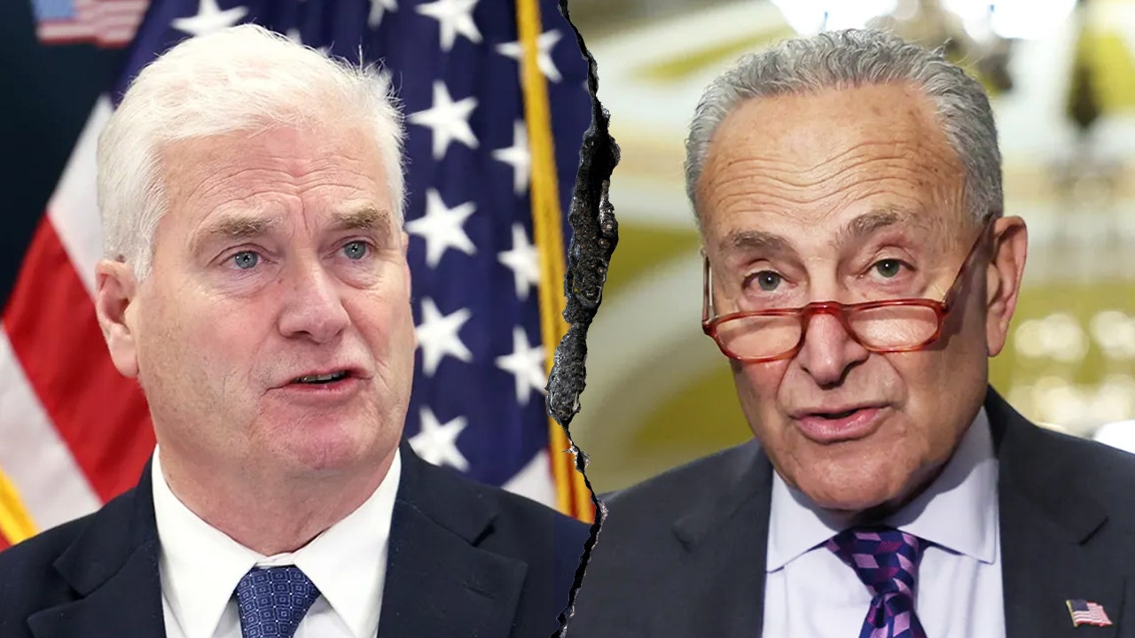 Social media users blast ‘out of touch’ Schumer after appearance on ‘The View’
