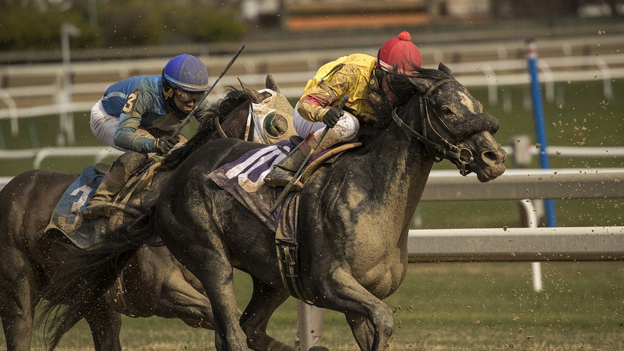Horse racing: Aqueduct Racetrack cancels card over noise