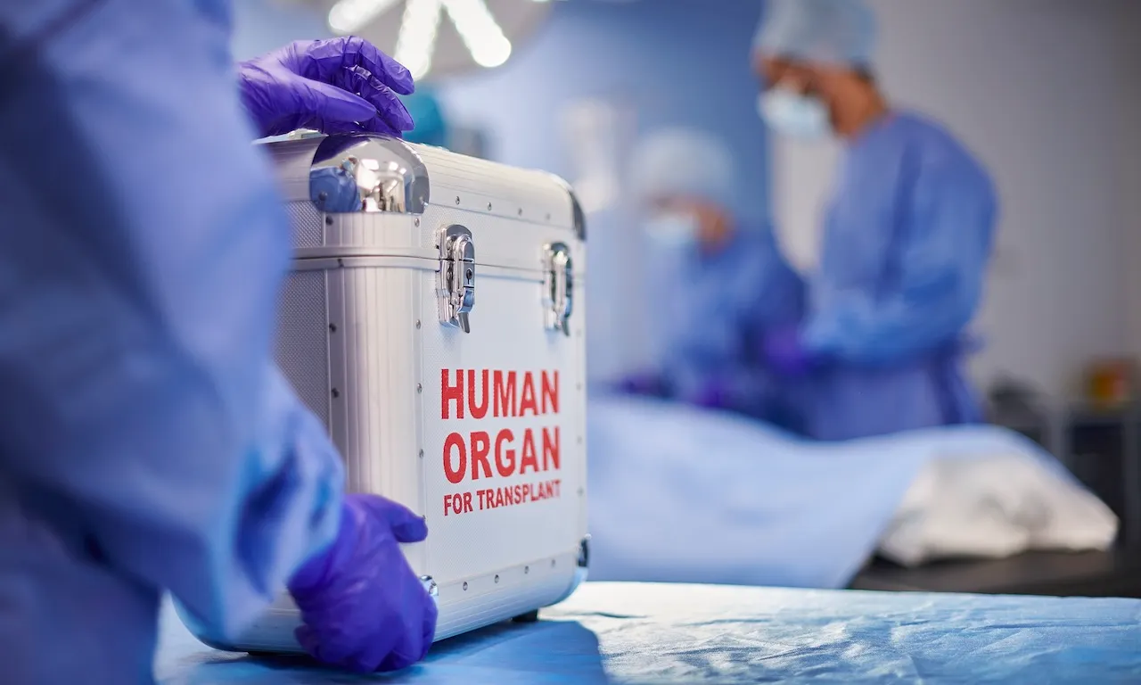 Organ transplant recipient dies of rabies after surgery