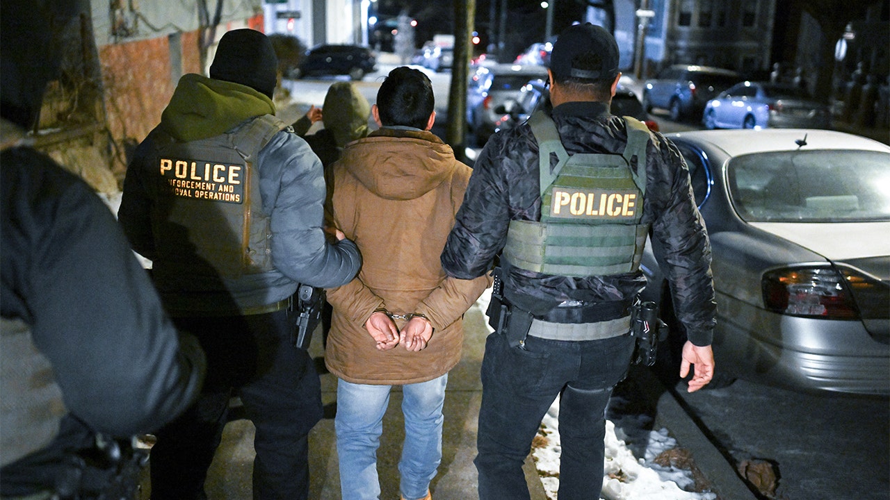 DHS leakers should be prosecuted