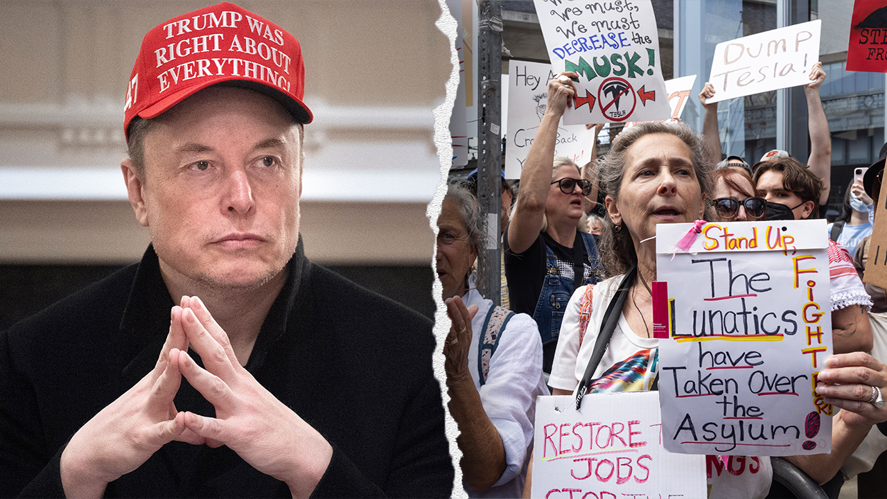 ‘Astroturf’: Critics speculate Tesla protests are not a grassroots movement, but carefully organized campaign