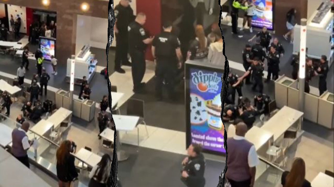 Pentagon City mall in Virginia shut down by fights