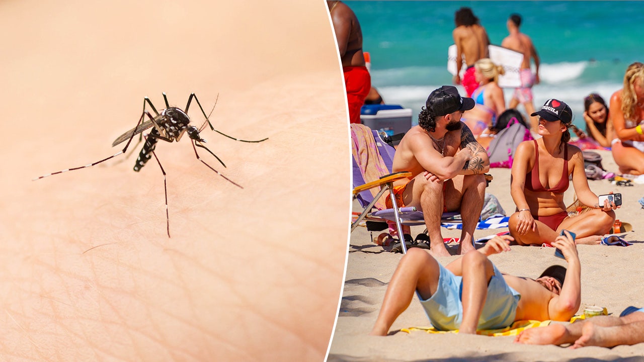 Dengue fever cases rise in spring break locations like Mexico, Puerto Rico: CDC