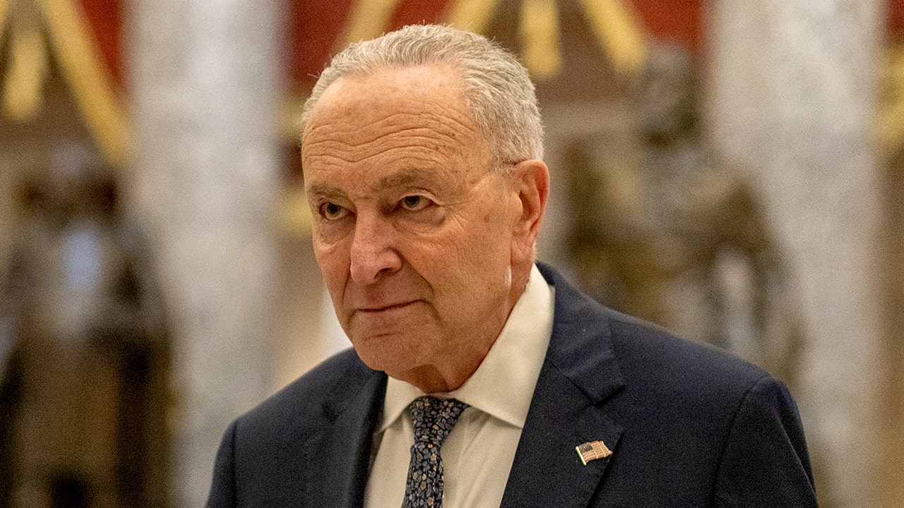 Schumer events called off due to ‘security concerns’ week of book launch