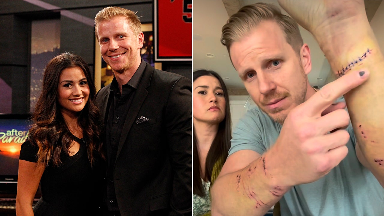 Former ‘Bachelor’ star Sean Lowe attacked by his own dog twice