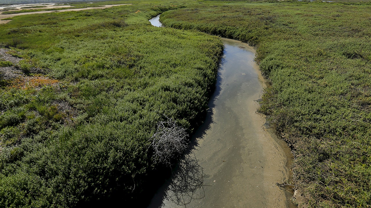 Zeldin to visit California-Mexico border over sewage spills