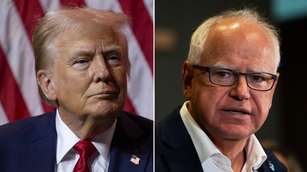 Walz calls for shadow government to counter Trump