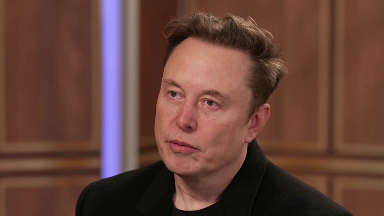 Elon Musk and DOGE really could revolutionize America. And crazed Democrats are panicking