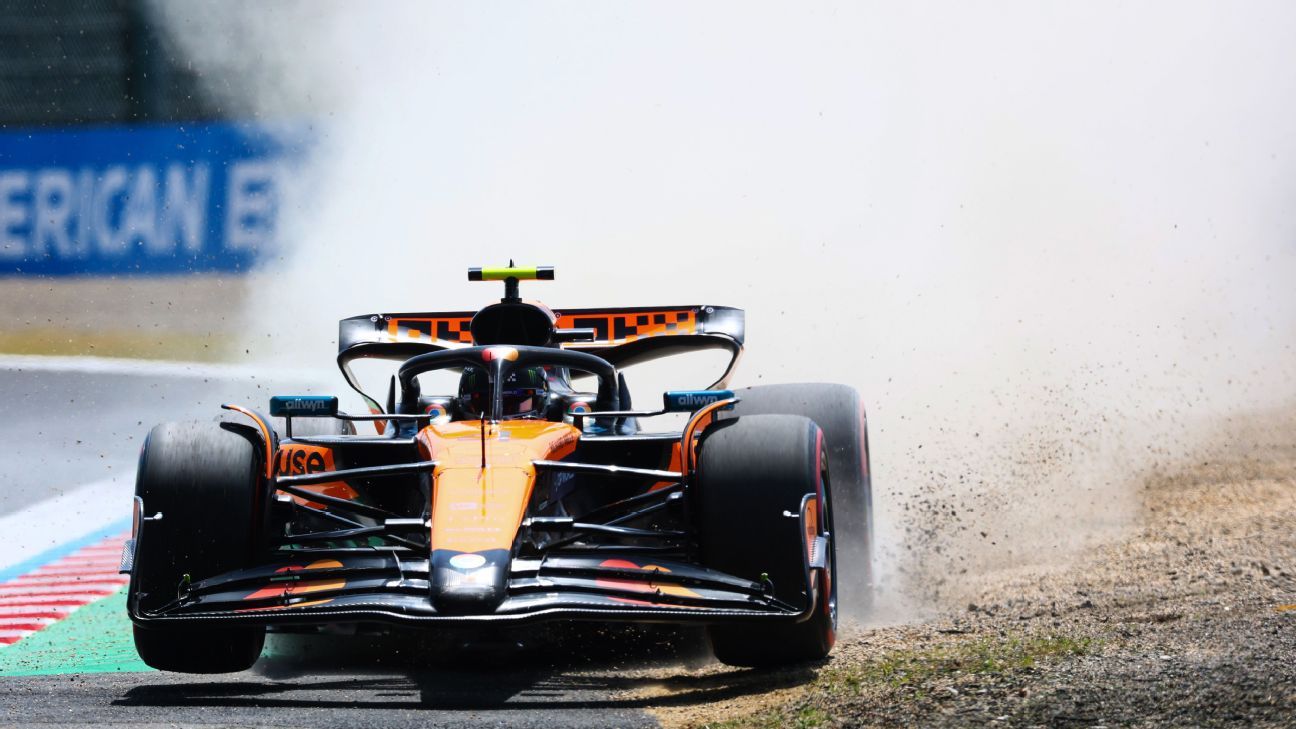 Japanese GP: Lando Norris fastest as grass fires again disrupt practice