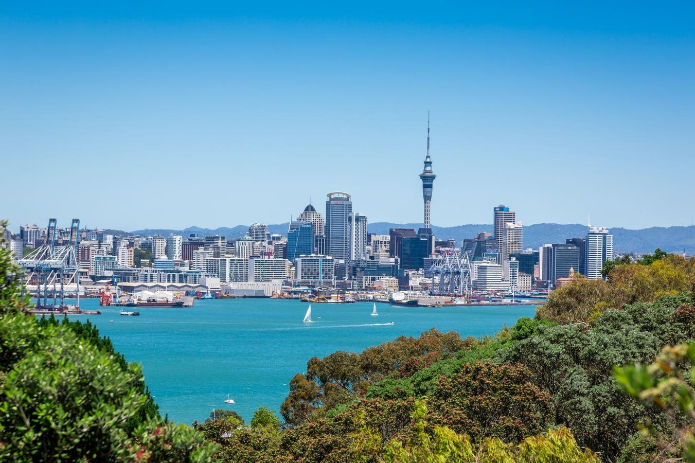 New Zealand’s Major Cities Are Sinking