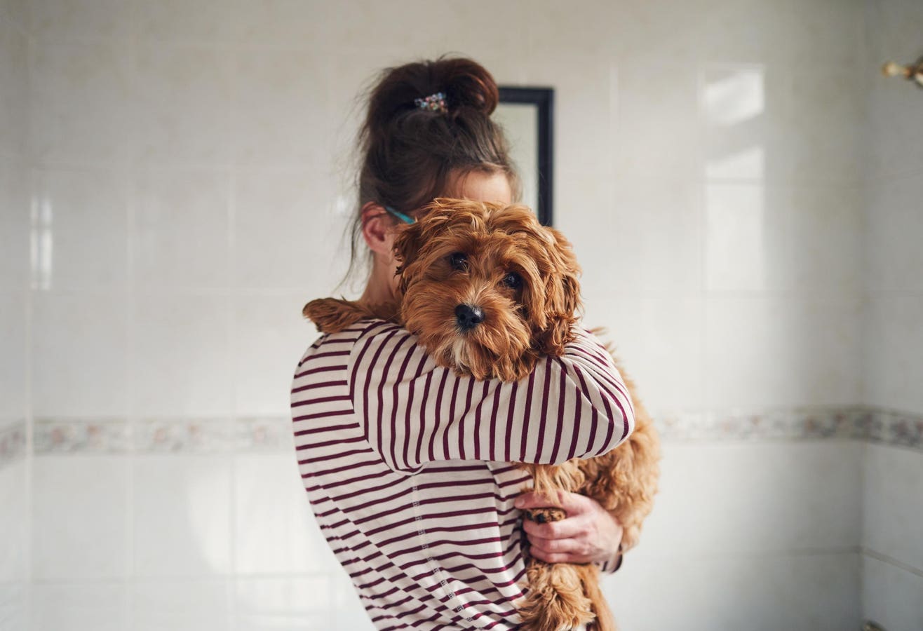 Tariffs Create Concern About Pets Being Surrendered To Animal Shelters