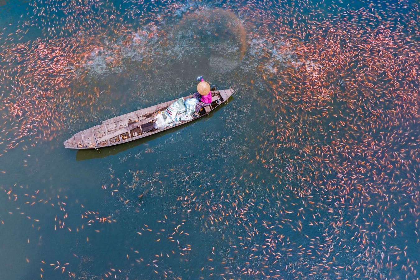 4 Unforgettable Photos That Remind Us Why Extinction Feels Personal — From The Nature Photography Contest 2024