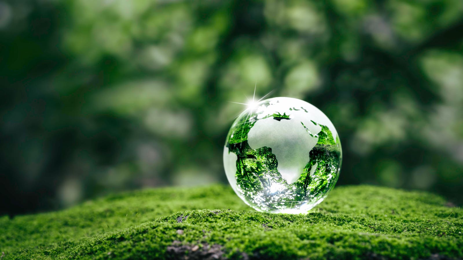 Earth Day 2025: Harnessing AI’s Power, Responsibly
