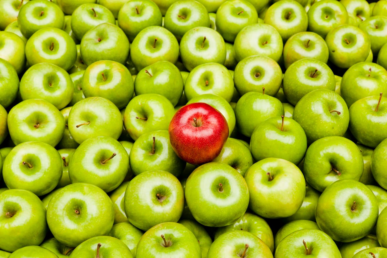 Carving An Unconventional New Lane In Cybersecurity