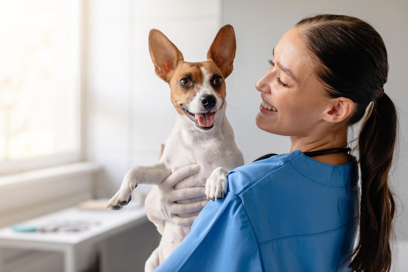 Veterinarians Prepare To Race Around The World For Mental Health