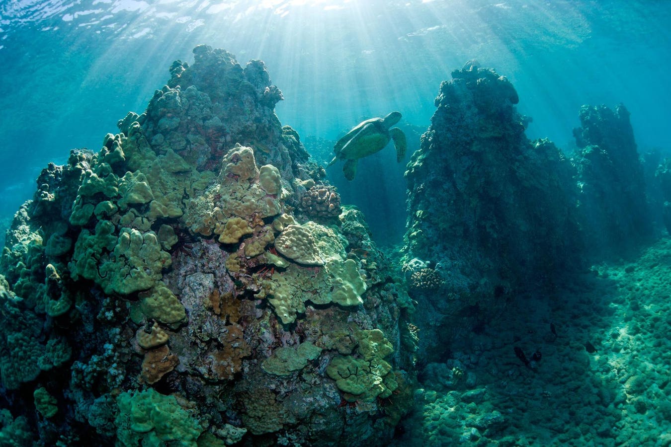 U.S. Blue Economy Aided By Federal Release Of Seafloor Minerals Guide