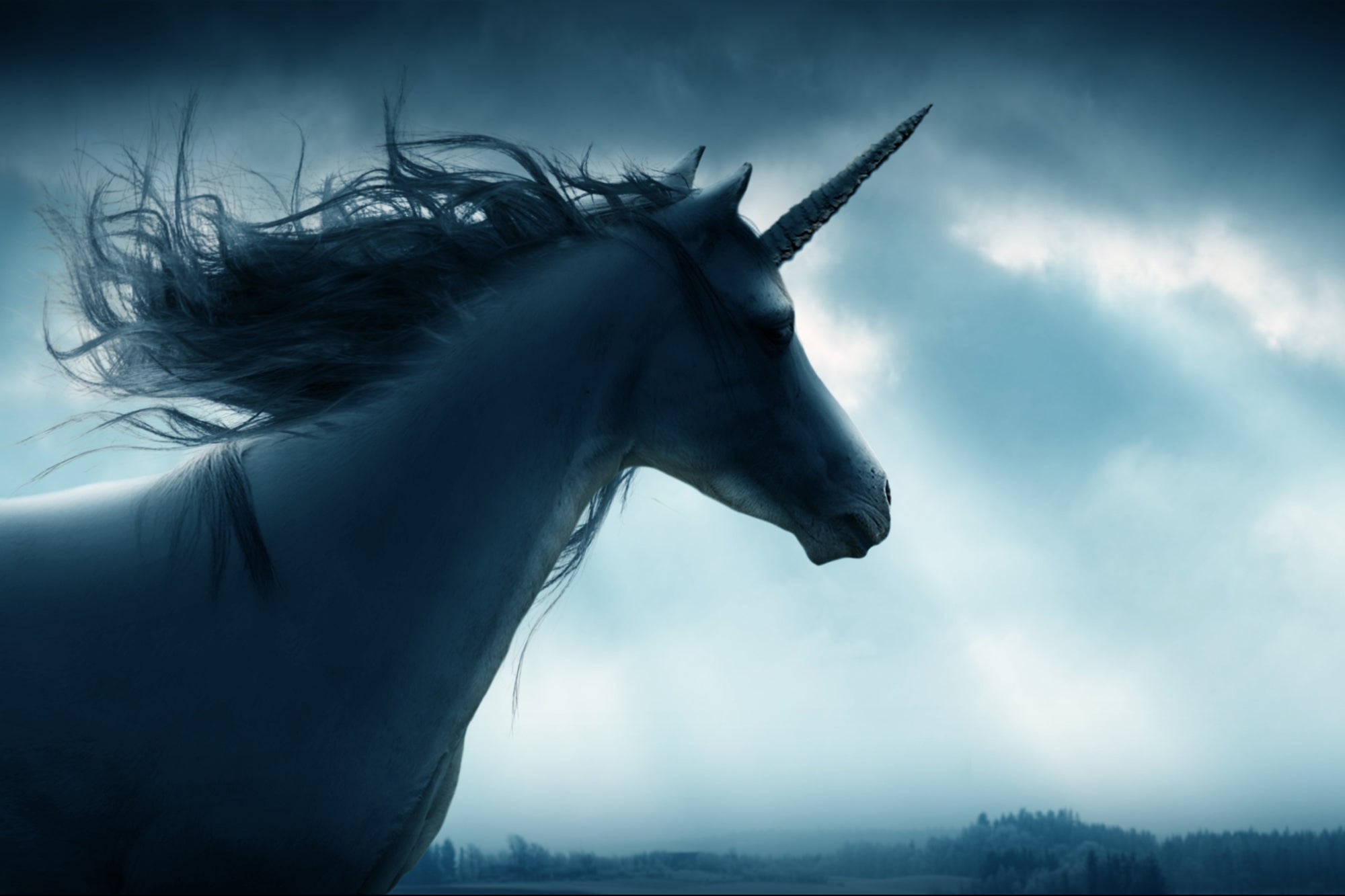 Become a Unicorn in Your Industry by Mastering These 4 Pillars