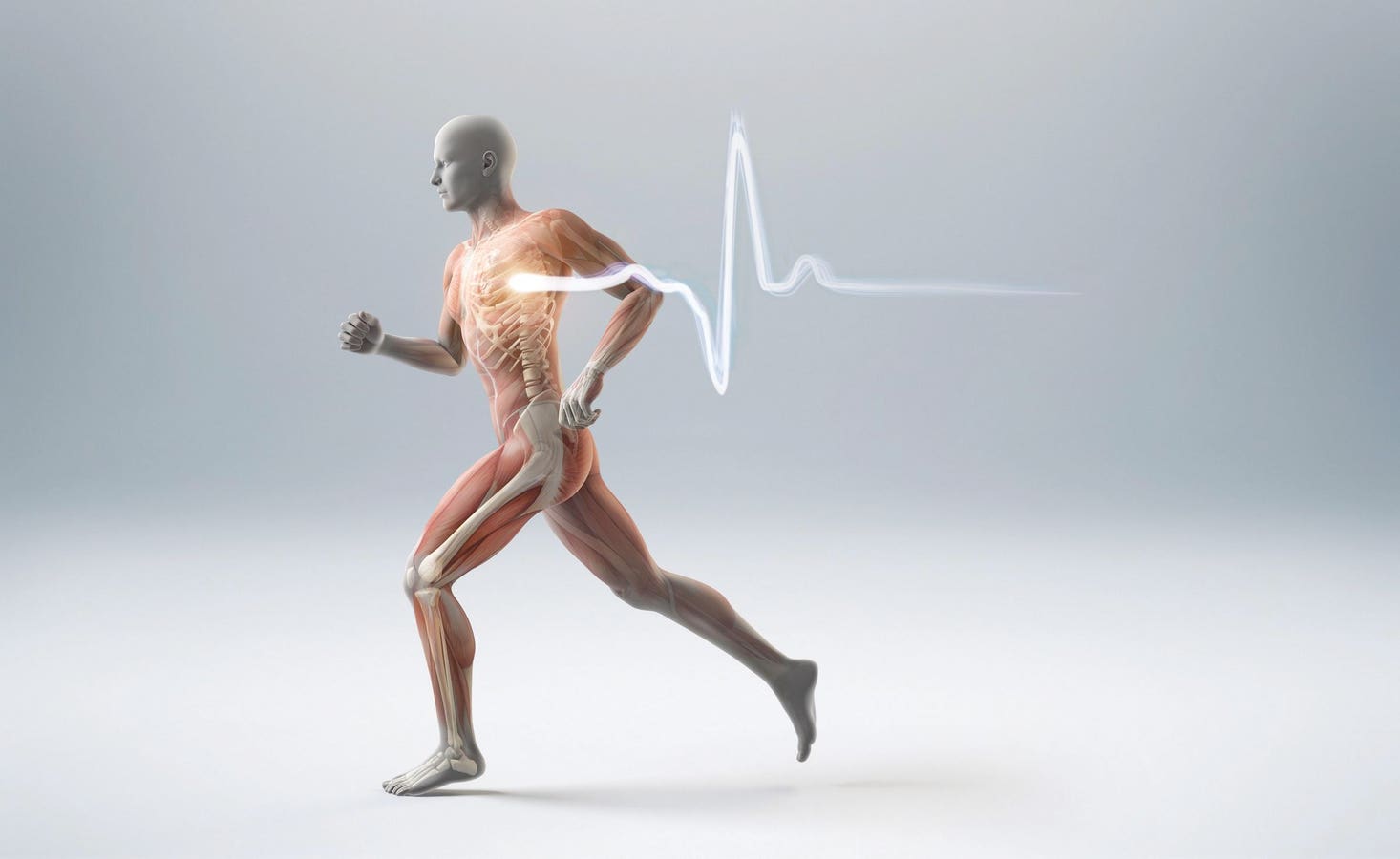 Structured Movement To Fine-Tune Our Human Neural Nets