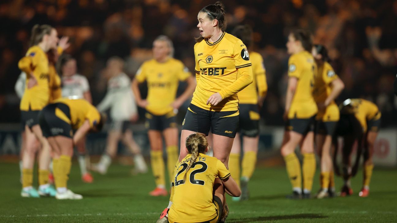 Wolves players ‘devastated’ club did not apply for Championship promotion
