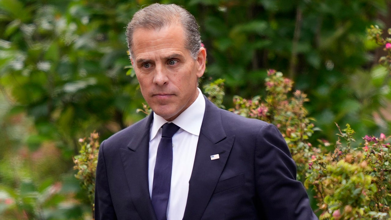 JONATHAN TURLEY: Biden DOJ behind even the Times in pursuing alleged Hunter corruption