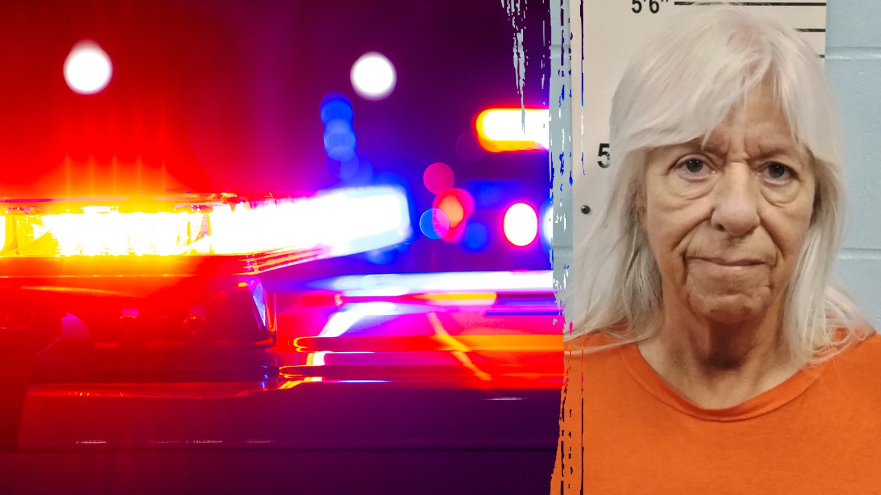 Foster mom tried to trade child for ‘exotic animal,’ police say