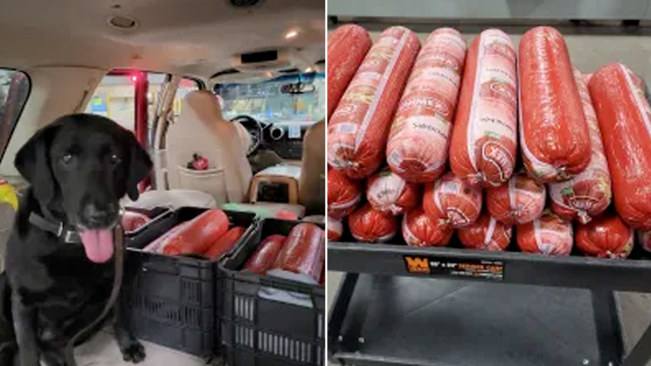 CBP in Texas seizes 22 pounds of Mexican bologna at port of entry