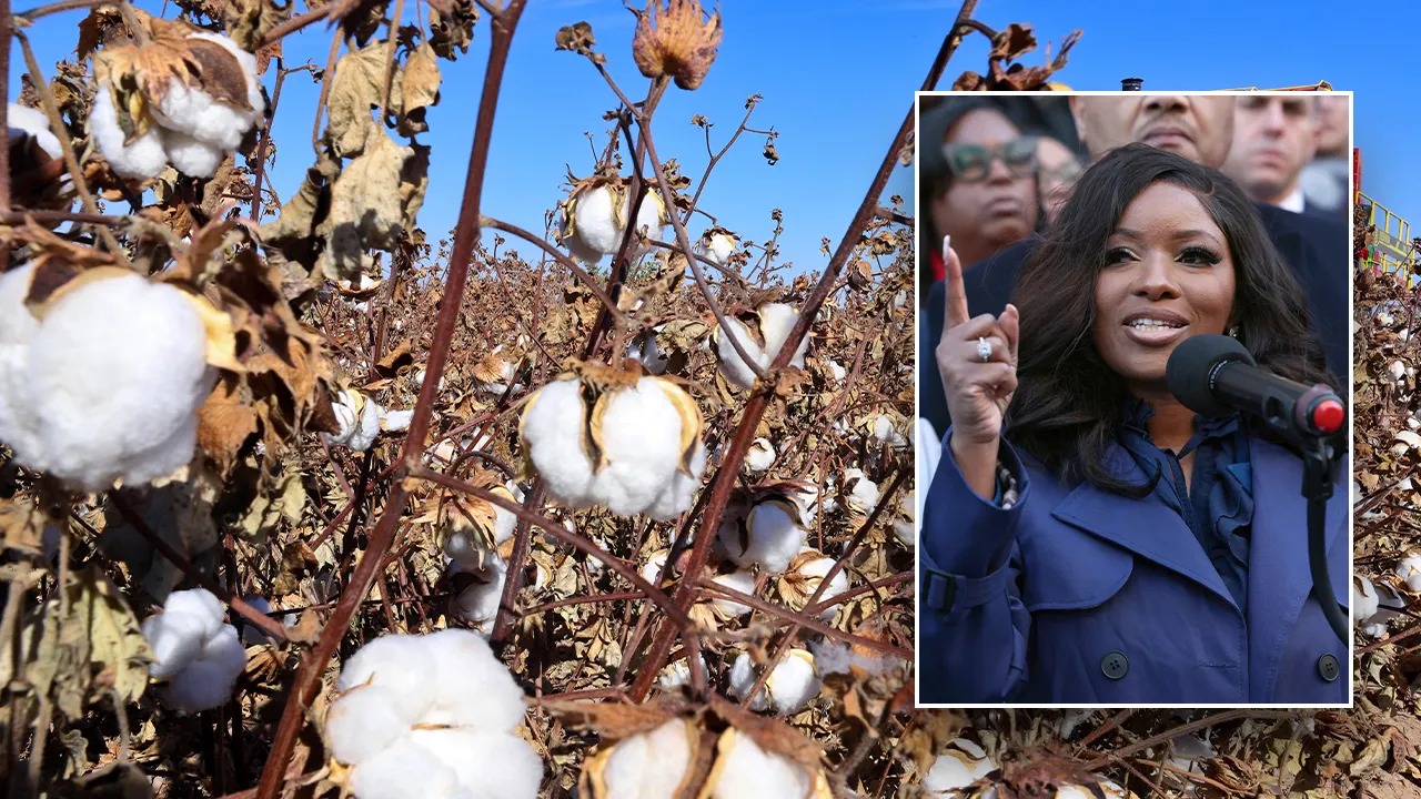 US needs illegal immigrants because ‘we done picking cotton,’ Squad member says