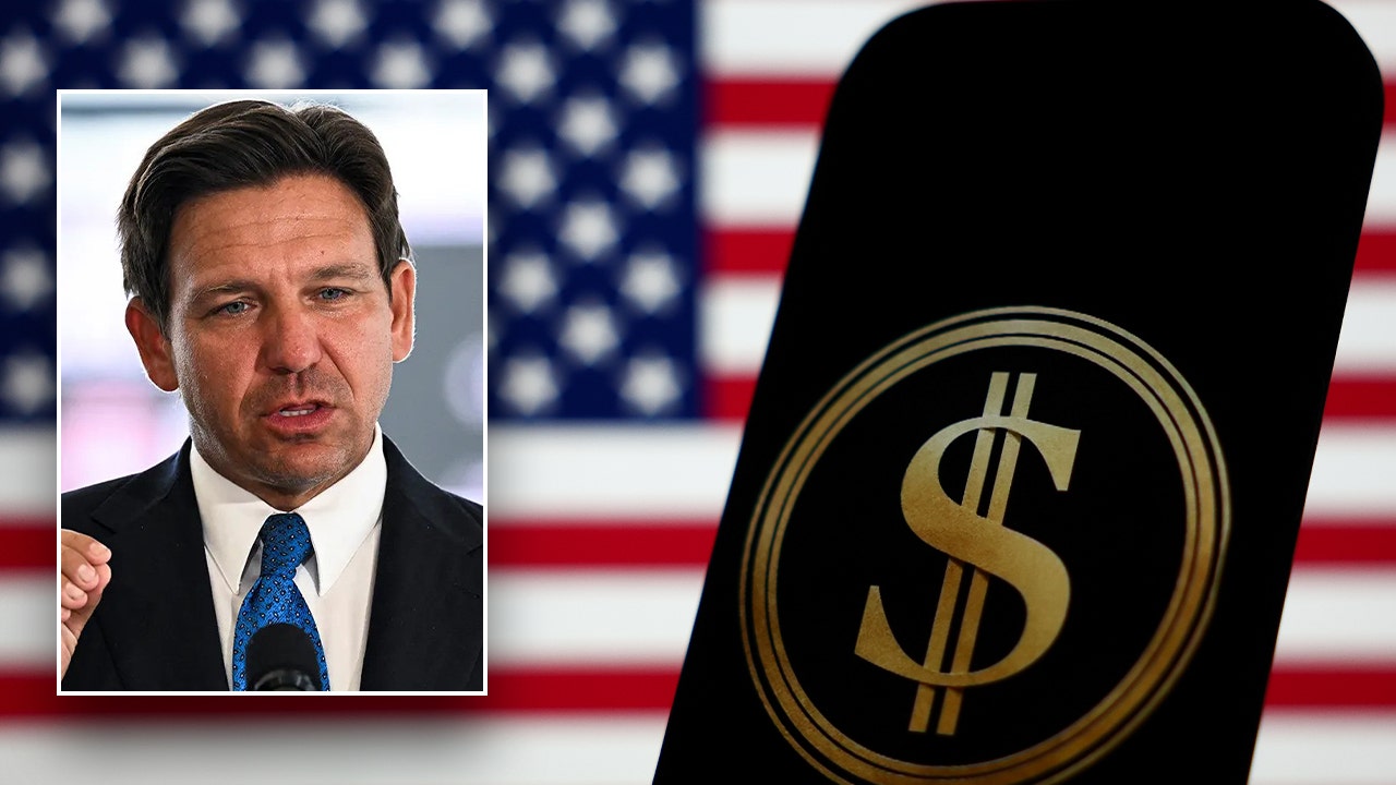 Gov. DeSantis’s new DOGE task force gains momentum: ‘Turn the lens inward’