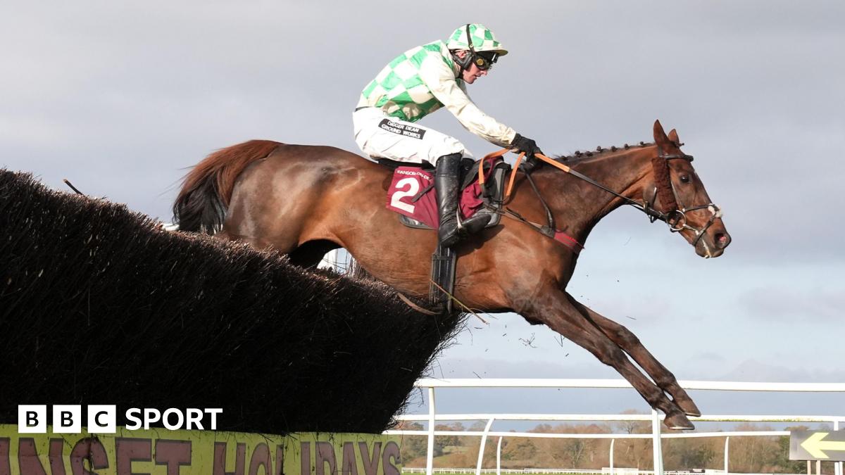 Grand National runner Celebre D’Allen died from ‘post-race infection’, post-mortem finds
