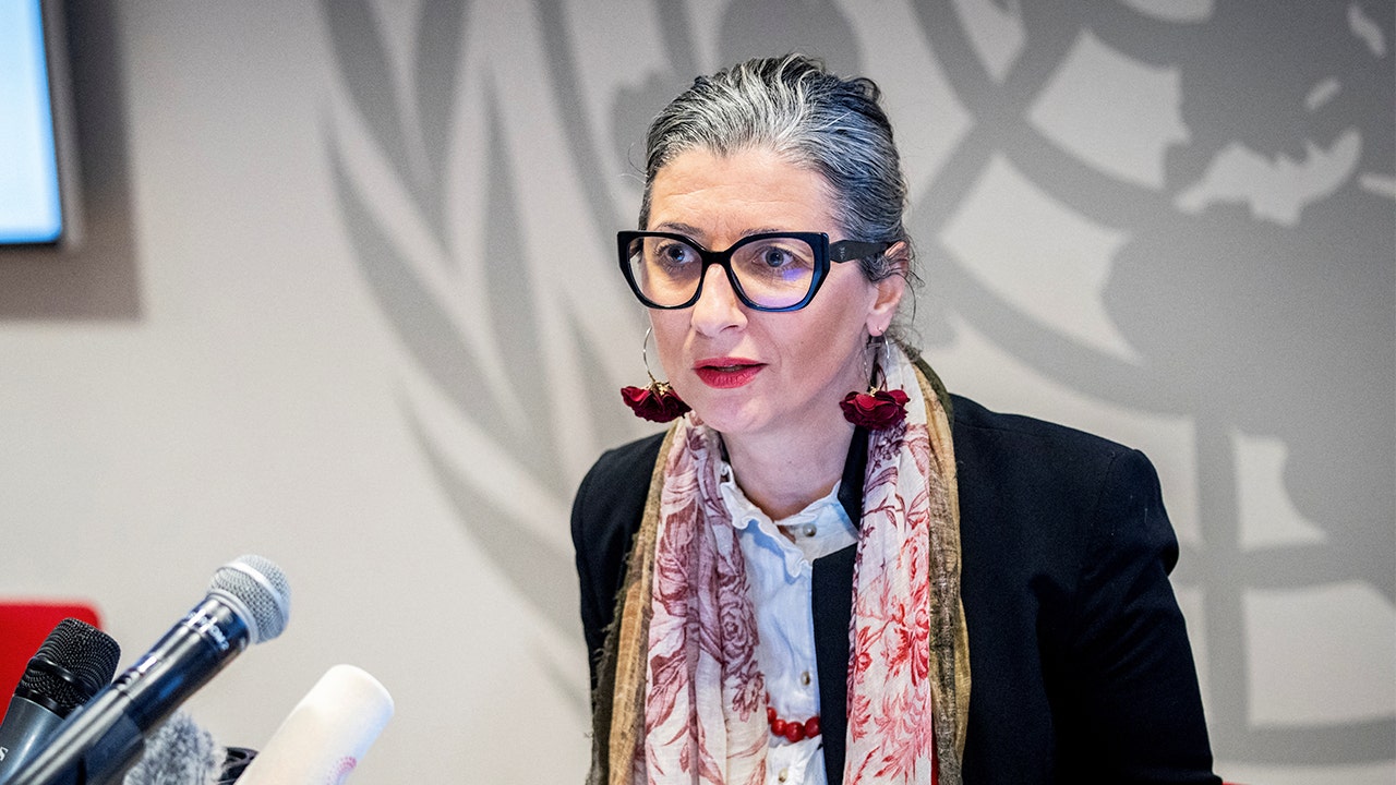 House Republicans urge UN to block Albanese over antisemitism