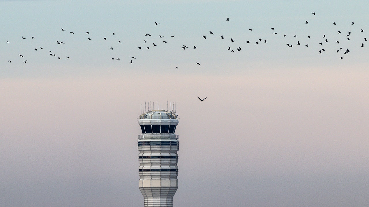 FAA employee charged with assault after air traffic control tower fight at DCA