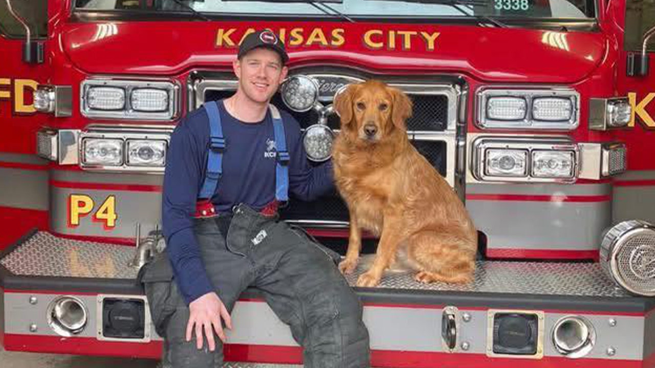 Missouri fire medic, Graham Hoffman, allegedly killed in ambulance by patient