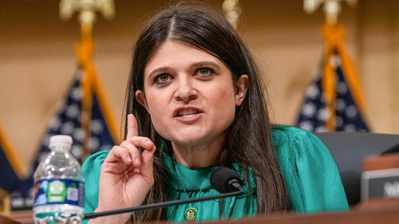 Stevens joins crowded 2026 Michigan Senate race as Peters steps aside