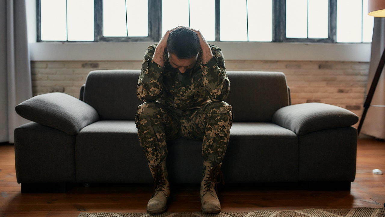 Bipartisan group of lawmakers to introduce bill aimed at eliminating vet suicide