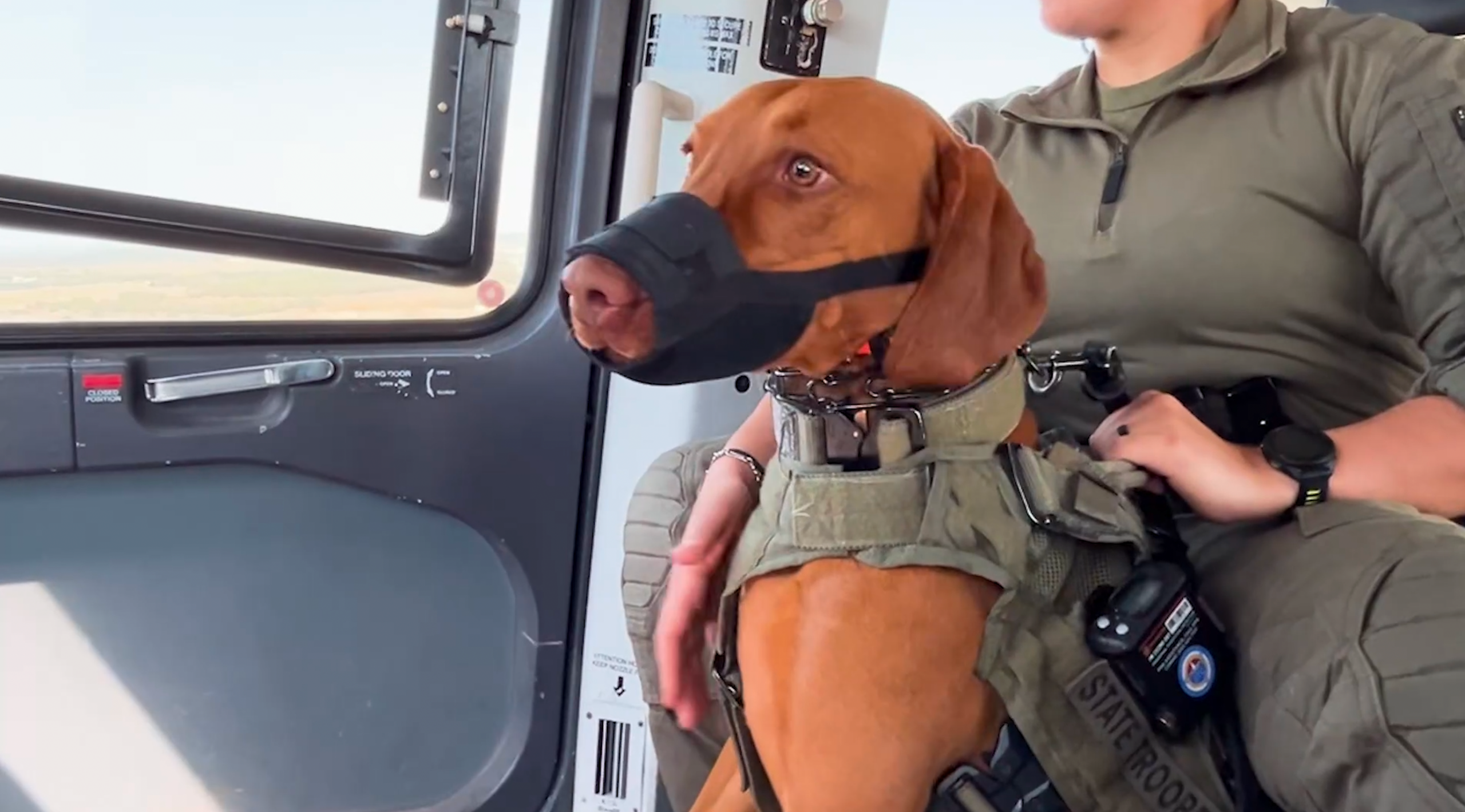 A look inside the Texas DPS K-9 Training Program