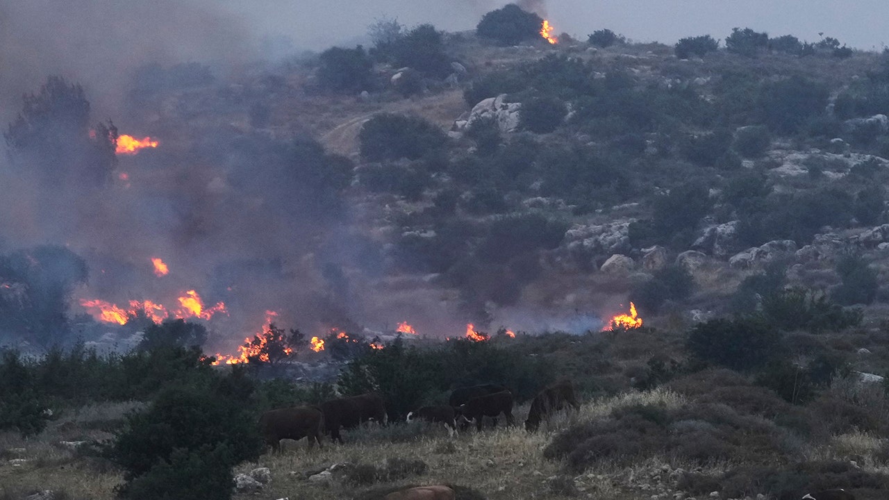 Wildfires break out in Israel, cancelling Independence Day celebrations